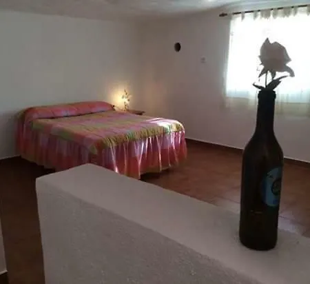 Base Camp بيت ضيافة *